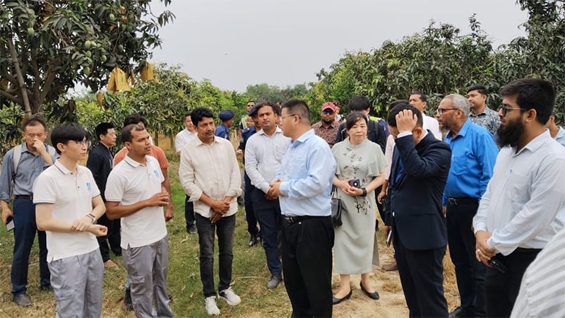 বাংলাদেশ থেকে দেড় মিলিয়ন টন আম নিতে চায় চীন